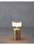 Belize Dekoratif Aydınlatma 17 cm Gold 3