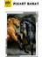 Atlar Arasındaki Rekabet Pixart Sanat Elmas Mozaik Tablo Diamond Türkiye 48*68 4