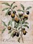 Zeytin Dali 46 x 56 Elmas Mozaik Tablo 1