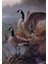 Göl Kenarındaki Ikili Pixart Sanat Elmas Mozik Tablo Daimond Türkiye 38*63 1
