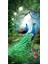 Güzel Renkli Tavus Kuşları Pixart Sanat Elmas Mozaik Tablo Diamond Türkiye 43*83 1