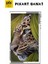 Doğada Mavi Gözlü Leopar Pixart Sanat Elmas Mozaik Tablo Diamond Türkiye 30*53 4
