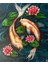 Göldeki Japon Balıkları Pixart Sanat Elmas Mozaik Tablo Diamond Türkiye 55*65 1