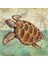 Kahverengi Su Kaplumbağası Pixart Sanat Elmas Mozaik Tablo Diamond Türkiye 53*52 1