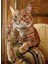 Turuncu Kedi Pixart Sanat Elmas Mozik Tablo Daimond Türkiye 38*50 1