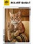 Turuncu Kedi Pixart Sanat Elmas Mozik Tablo Daimond Türkiye 38*50 4