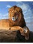 Zirvedeki Aslan Pixart Sanat Elmas Mozik Tablo Daimond Türkiye 43*53 1
