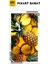 Ananas 30 x 51 Elmas Mozaik Tablo 4