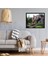 Sarmaşıklı Ev Pixart Sana Elmas Mozaik Tablo Diamond Türkiye T 61 x 51 cm 3