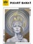 Altın Başaklar ve Kadın Pixart Sanat Elmas Mozaik Tablo Diamond Türkiye 48*66 4