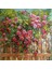 Bahçedeki Gül Köşesi Pixart Sanat Elmas Mozaik Tablo Diamond Türkiye 60*60 1