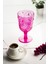 Akrilik Pembe Ayaklı Bardak 2