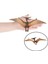 Pvc Mini Canlı Dinozor Pterosaur Figürleri Çocuklar Için Pterodactyl (Yurt Dışından) 3