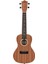 LU21-C Concert Ukulele 1