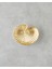 Sea Shells Dekoratif Tabak 19X15,7X4,8 cm Gold 1