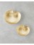 Sea Shells Dekoratif Tabak 19X15,7X4,8 cm Gold 4