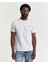 Erkek Krem Regular Fit Bisiklet Yaka Logolu T-Shirt 2044017.113 1
