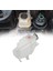 17107509071 Mini Cooper 2002-2008 Için Kapaklı Motor Radyatör Soğutma Suyu Taşma Kurtarma Genleşme Tankı (Yurt Dışından) 3
