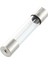 10 Adet Hızlı Darbeli Cam Tüp Sigorta 6X30MM 250V 10A (Yurt Dışından) 2