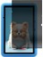 Blackview Tab A6 Kids 10.1 Inç Hayalet Ekran Koruyucu 1