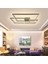 Oblong Max Tavan Tipi LED Plafonyer Avize 120X83CM 1