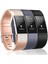 Fit Charge 2 ile Uyumlu 3 Paket Bant, Fit Charge 2 Için Klasik ve Özel Sürüm Yedek Bantlar, Kadın Erkek Gül Altın/gri/siyah-S (Yurt Dışından) 1