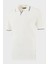 Pamuklu Regular Fit Şerit Detaylı Polo Yaka T Shirt Erkek Polo Yaka T Shirt 5902964 2