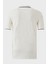 Pamuklu Regular Fit Şerit Detaylı Polo Yaka T Shirt Erkek Polo Yaka T Shirt 5902964 4