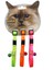 Kedi Boy. Tas. RENKLI.10MM28CM (3 Lü) Dpmah 1