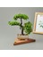 Dekor Saksılı Yapay Ağaç - - 20X22 cm 2