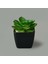 Mini Saksıda Yapay Çiçek - - 11X5 cm 3