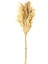 Pampas Yapay Çiçek - Bej - 90X20 cm 2