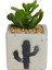 Beton Saksıda Yapay Sukulent - - 7X10 cm 1