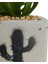 Beton Saksıda Yapay Sukulent - - 7X10 cm 3