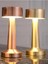 LED Şarj Edilebilir Taşınabilir Masa Lambası - Dokunmatik Aç/kapa ve Parlaklık Ayarı, 3 Renk Seçeneği (Gold, Dalya) 2