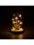 Casa LED Fanus - - 11,5 cm 2