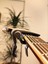 Gitar Kaposu, Guitar Capo, Akustik Gitar, Elektro Gitar, Ukulele Kaposu, Saz(Bağlama) Kapo, Gri Capo 5