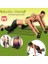 Revoflex Xtreme Egzersiz Spor Aleti 1