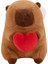 30CM Melek Kapbara Bebek Peluş Oyuncak (Yurt Dışından) 1