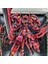 Gundam Robot Modeli Monte Edilmiş Mecha El Oyuncakları (Yurt Dışından) 1