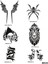 Hırçın Tasarımlar Spray Tattoo Geçici Dövme Yapma Seti Dark Siyah 2