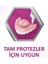Süper Diş Protezi Yapıştırıcı Naneli Krem 40 gr 10 Adet - Kupa Bardak 5