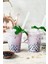 Şeffaf Bubble Tea Pipet Jelatin Sargılı 12MM x 22CM 50 Adet 2