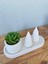 Modern Minimalist Seramik Saksı – Şık ve Doğal 3