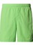 M Water Short - Eu Erkek Yüzücü Şortu NF0A5IG56II1 Yeşil 5