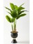 Yapay Muz Ağacı 200 cm 17 Yaprak Balon Saksı 1