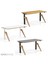 Regula Desk Dandy W - Elektrikli Yüksekliği Ayarlanabilir Çalışma Masası - Beyaz Ayak Ahşap Mdf Tabla 120X60 2