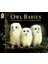 Owl Babies 1