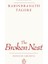 Broken Nest - Penguin Archive 1