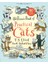 Old Possum's Book Of Practical Cats Illustrated Pb 1